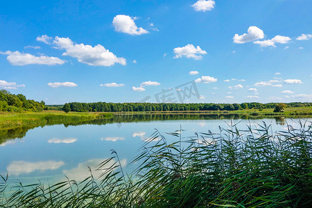 小草阳光摄影照片_在阳光明媚的晴天欣赏小湖或河流。