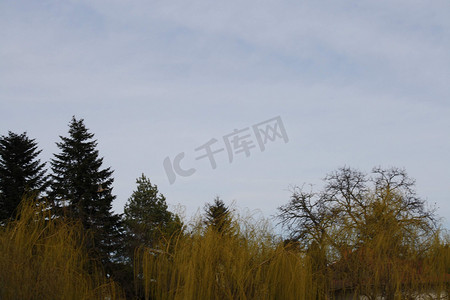 空气和水摄影照片_塞格德的树木和乌云