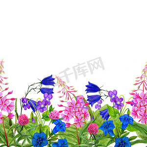 花朵边框设计边框摄影照片_水彩无缝边框，粉红色和蓝色的花朵