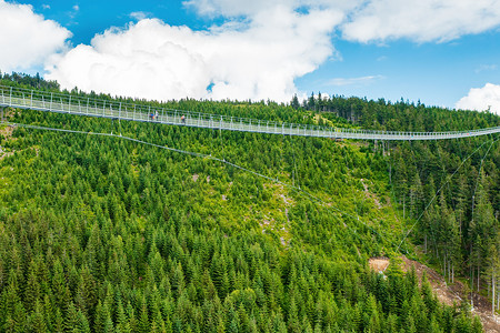 Sky Bridge 721是森林中两座山之间最长的吊桥