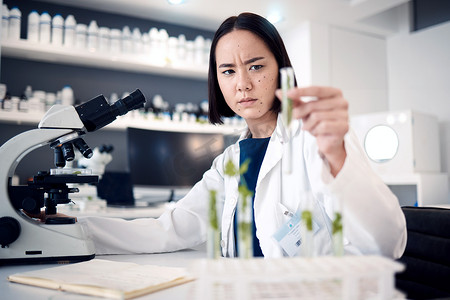 食品安全检查摄影照片_农业、食品安全或转基因植物的科学家女性、试管和实验室通过显微镜放在桌子上。
