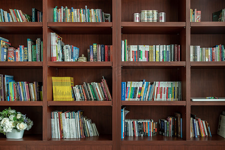 家庭图书馆不同书籍的木制书架视图。