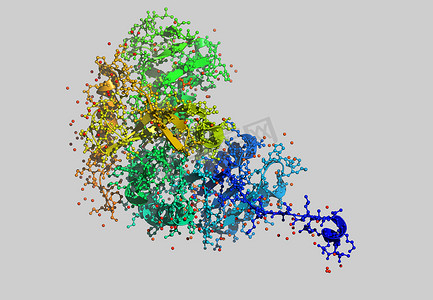 带原子的酶分子模型