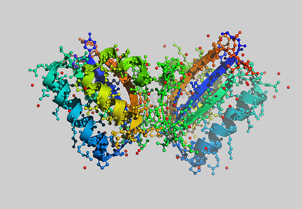 蛋白质分子摄影照片_带原子的蛋白质分子模型