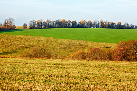 秋天的田野和草地