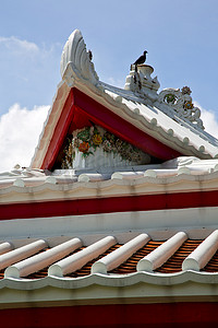 亚洲泰国在曼谷晴朗的寺庙抽象鸟