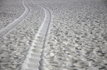 沙滩上的轮胎痕迹