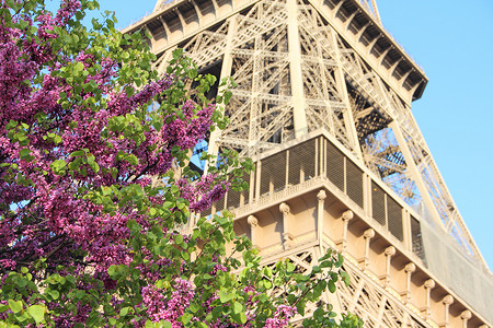 埃菲尔铁塔红色摄影照片_法国巴黎的艾菲尔铁塔