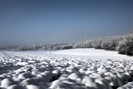 雪景