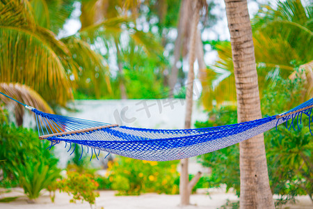 阳光明媚的夏日，热带天堂椰子树下的浪漫舒适吊床