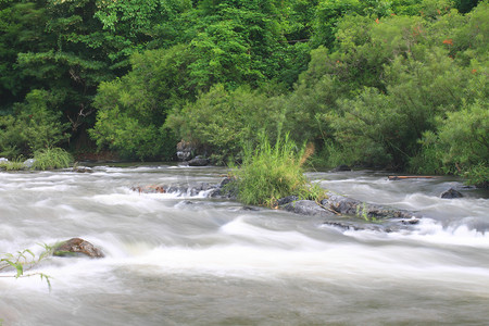 原始森林摄影照片_森林深处的河流