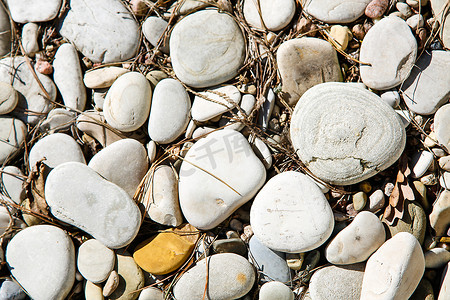 表面有小颗粒污垢的大海卵石