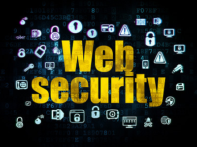 保护概念： 数字背景下的网络安全