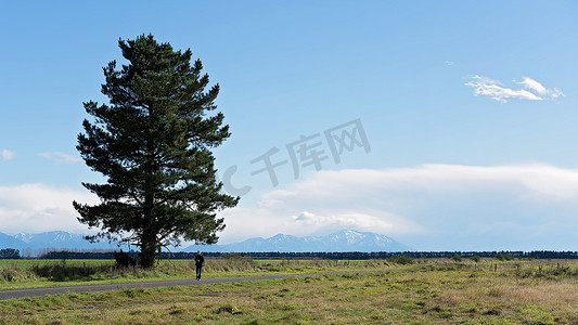 一位孤独的摄影师在有松树的开阔风景中拍照