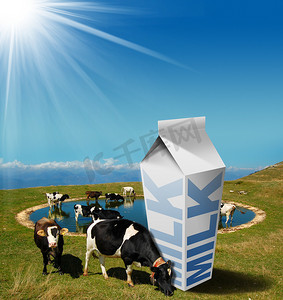 牛奶饮料纸箱放牧的奶牛