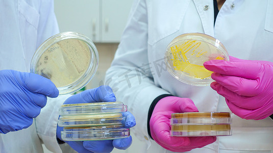 科学家们正在分析一项细菌实验的结果。