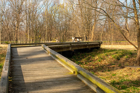 宾夕法尼亚郊区公园的木板路