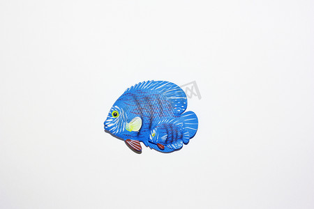 可爱的热带鱼摄影照片_色彩缤纷的小热带鱼