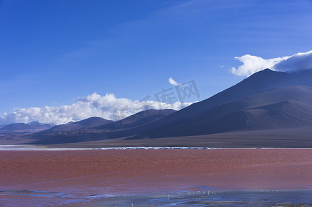 玻利维亚，红湖