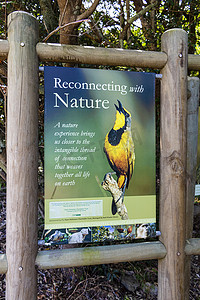 国庆放假通知横版摄影照片_重新连接自然绿色绿松石信息标志，Kirstenbosch。