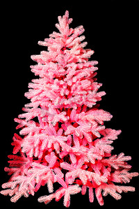霓虹粉红色的圣诞树在黑色背景下被隔离。
