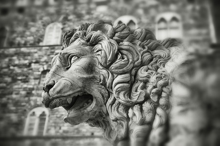 石狮子-佛罗伦萨