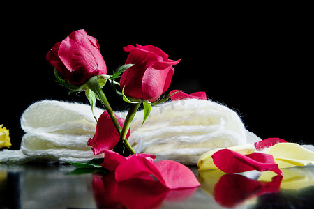 杂交玫瑰摄影照片_围巾上黑色背景上的两朵红玫瑰和红色花瓣 诗歌。