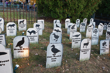动物灭绝墓地
