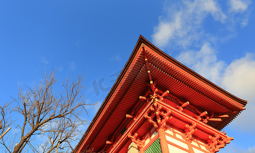 日本京都冬季清水寺