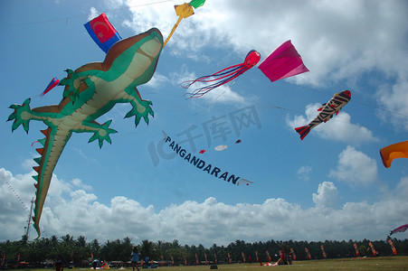 庞岸达兰国际风筝节