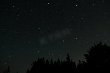 星座剪影摄影照片_夜空充满开始与森林中的剪影树