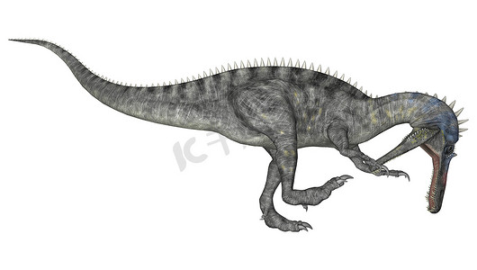 延吉恐龙摄影照片_恐龙 Suchomimus