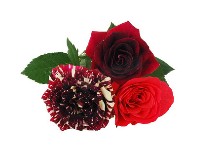 情人节花束-树不同的红色玫瑰