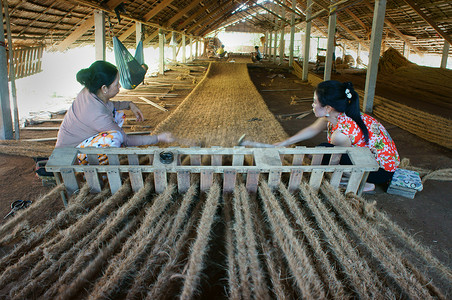 越南语摄影照片_亚洲工人，椰壳垫，越南语，椰子纤维