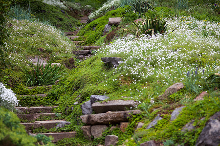 假山景观摄影照片_绿色花园中的石阶