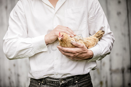 鸡年大吉万事如意摄影照片_拿着米色鸡的农夫