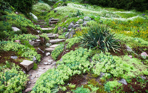 绿色花园中的石路和楼梯