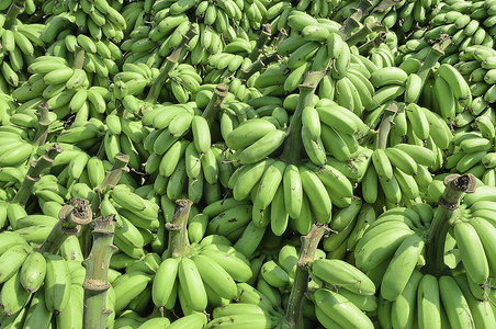 一堆未成熟的香蕉叫 kluay khai
