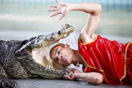 泰国鳄鱼表演