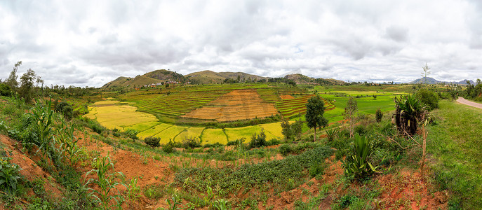 土壤的形成摄影照片_马达加斯加岛上风景图像的全景拍摄