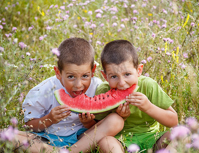 孩子们吃红西瓜