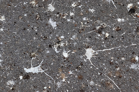 沥青混凝土道路背景上有很多鸟粪。