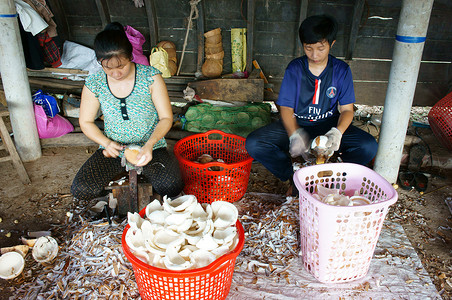 亚洲工人，椰子，椰干，材料，湄公河三角洲