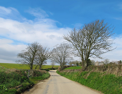 康沃尔郡的英国乡村公路