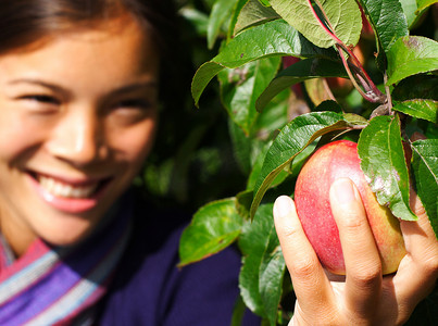 摘水果的人摄影照片_树边摘苹果的女人