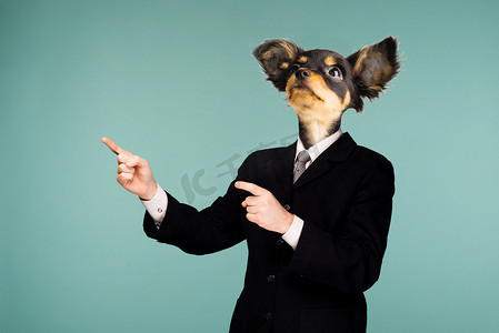 狗头摄影照片_迷幻拼贴画结合了西装男和狗头。