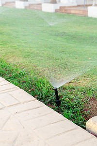 洒水器在花园里给草坪浇水。