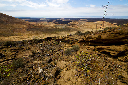 timanfaya sky hill and summer lanzarote 西班牙植物花卉巴士