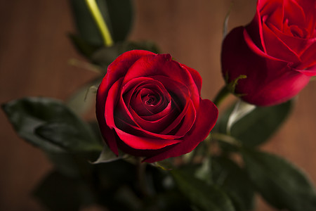 回忆录摄影照片_木质背景中的一束玫瑰