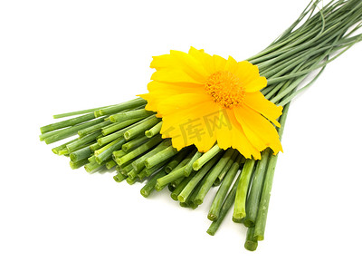 春天韭菜摄影照片_新鲜的韭菜和黄色的花